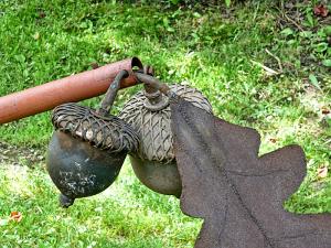 Acorns and leaf